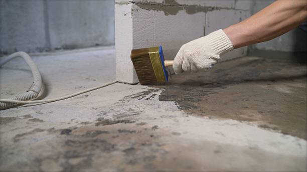 Top rated local Crawl Space Encapsulation specialists in Rossville, KS